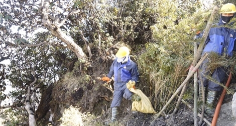 Đu dây nhặt rác quanh đỉnh Fansipan Sapa